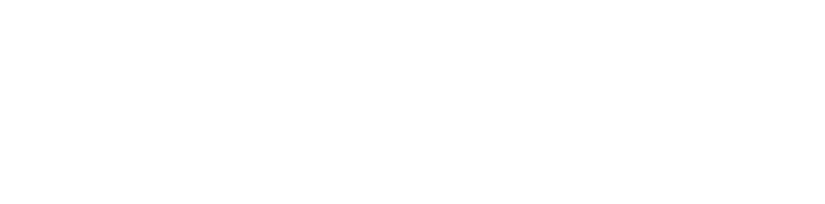 DISAN QUIMICOS